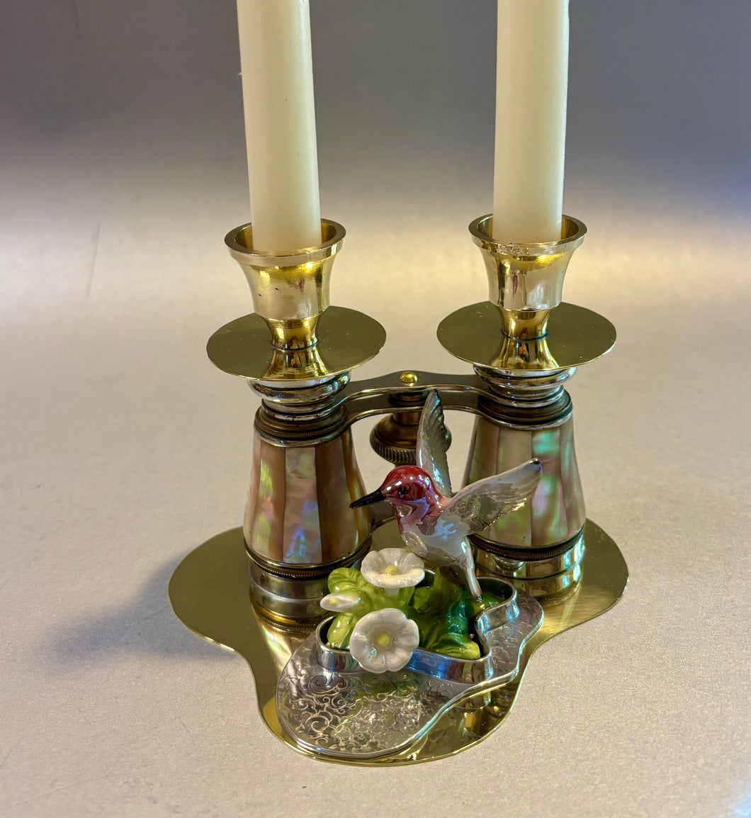 Birdwatcher's Shabbat